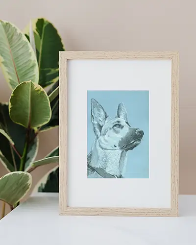 Charcoal portrait of a dog